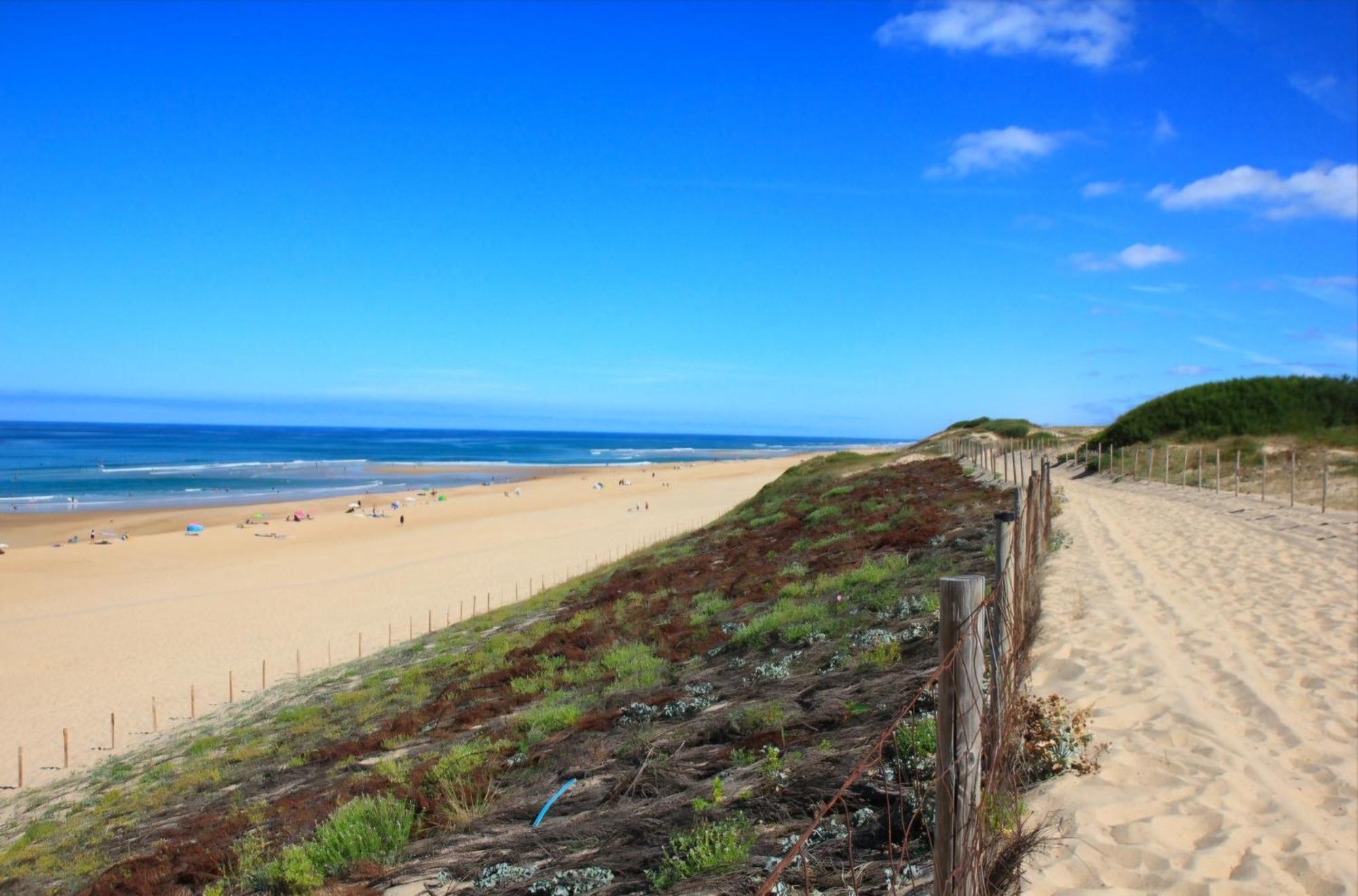 Appartement Avec Terrasse/Bord De Mer/Ideal Surf Seignosse Exteriér fotografie